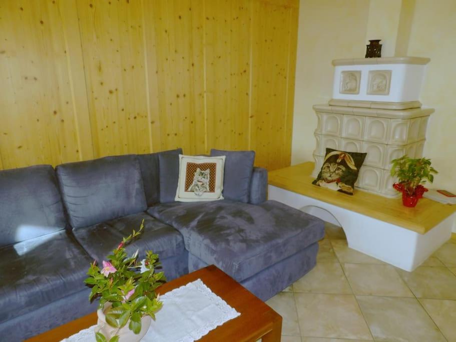 Apartament Ciasa Gran Panorama Moena Zewnętrze zdjęcie